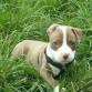 Maxie de dos meses, mi bebé no se imaginaba que en dos meses más iba a ser todo mío, que nuestros caminos estaban destinados a encontrarse.